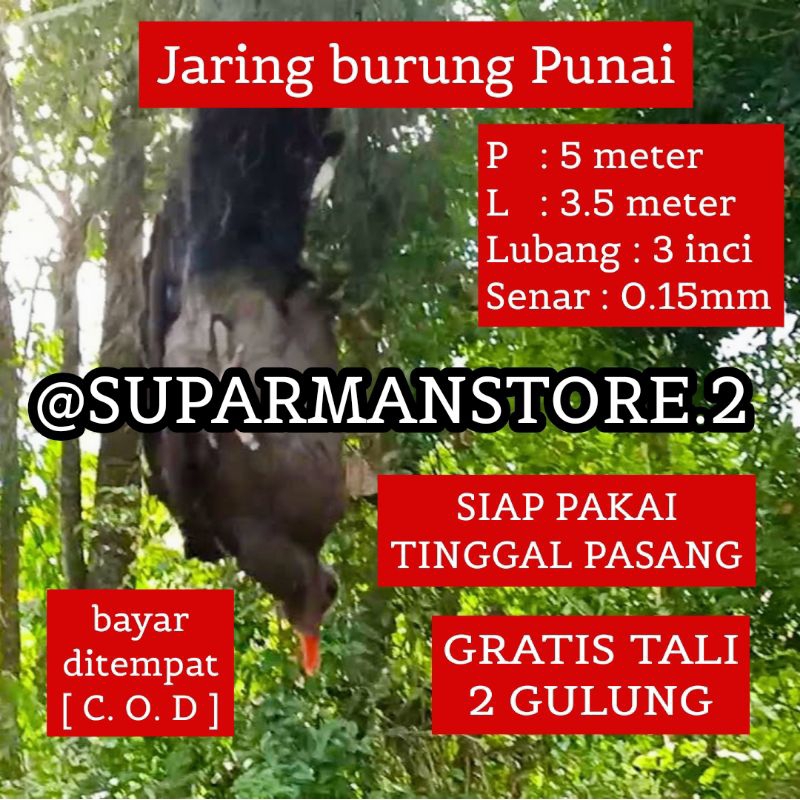 JARING BURUNG PUNAI 5 METER JARING BURUNG PUNAI SIAP PAKAI JARING BURUNG PUNAI 5M REKOMENDASI JARING