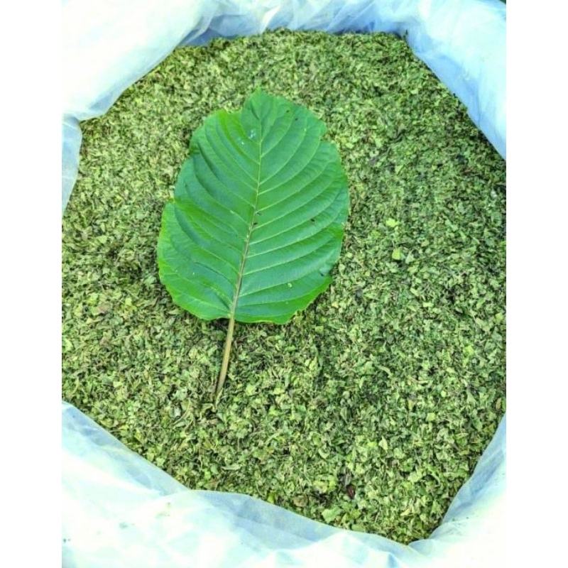

DAUN TEH HIJAU KHATULISTIWA KLATOM TEA GREEN ORGANIC 1KG