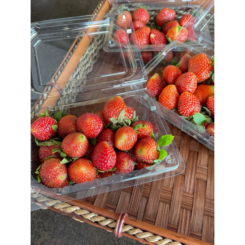 

DUTA BUAH SBY Strawberry Lokal Segar - 1 Pack (230g)