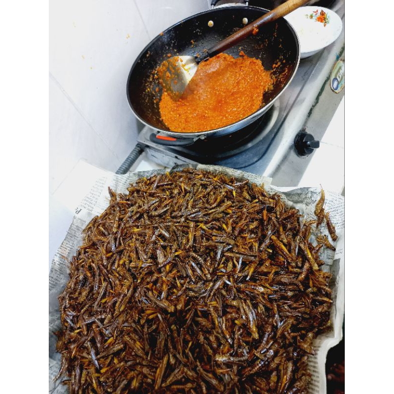 

LINK CO BELALANG GORENG 300gr.