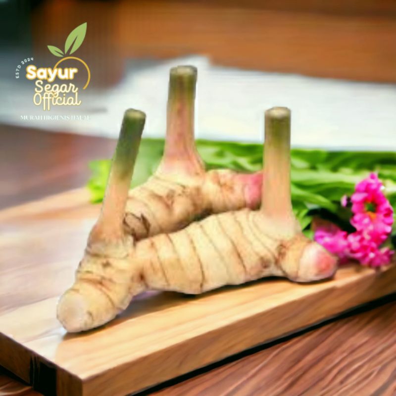 

Lengkuas / Laos 100gr / 250gr KIRIM INSTAN