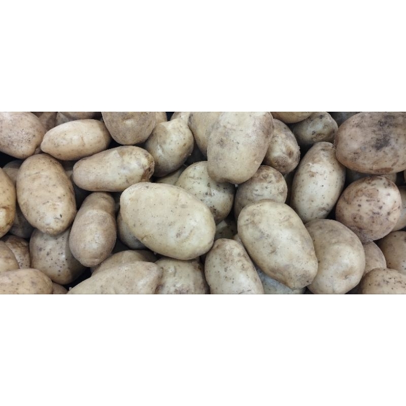 

Kentang Dieng Lokal 500 gr