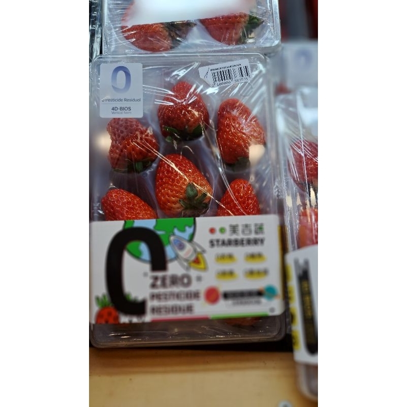 

Strawberry Red Latern Import RRC / Pack