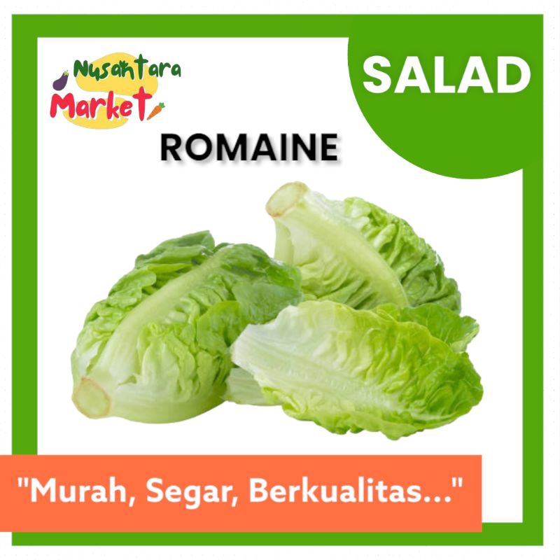 

ROMAINE LETTUCE | SALAD | 700GR | NUSANTARA MARKET