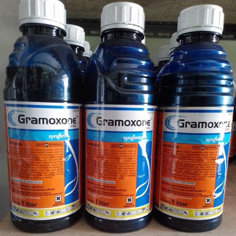 Herbisida gramoxone 276 sl obat rumput liar