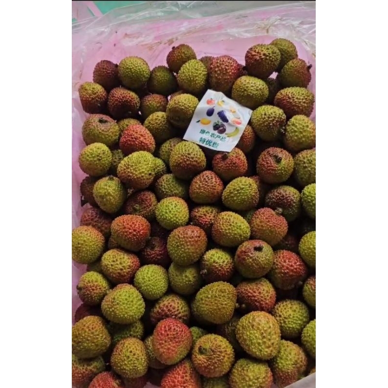 

buah leci madu fresh / buah leci fresh