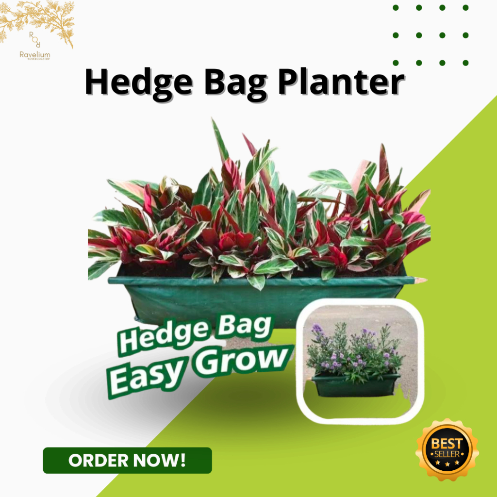 Hedge Bag Size L /Pot Planter Pembatas Taman Ukuran Large/Hedge Planter Easygrow Size Large