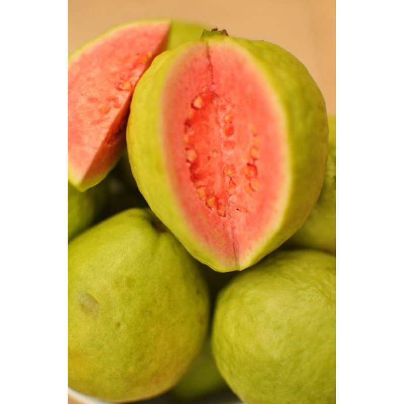 

BUAH JAMBU BIJI MERAH 1KG
