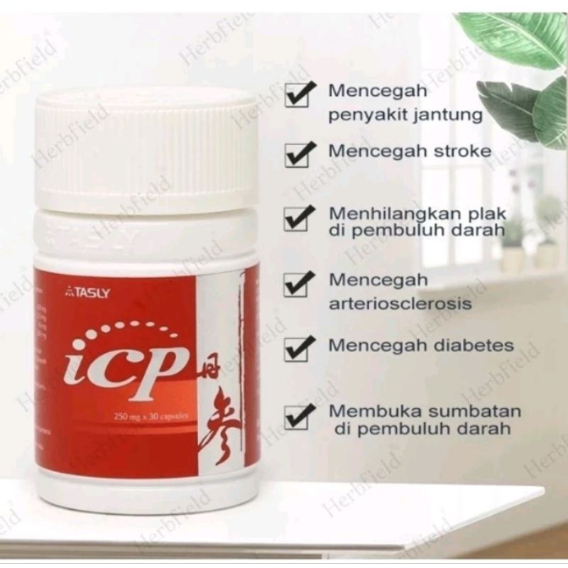 Tasly ICP Capsule Obat Jantung Stroke 100% Original Resmi