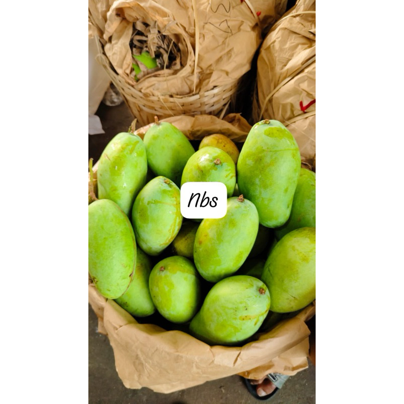 

mangga budi raja jumbo 1kg