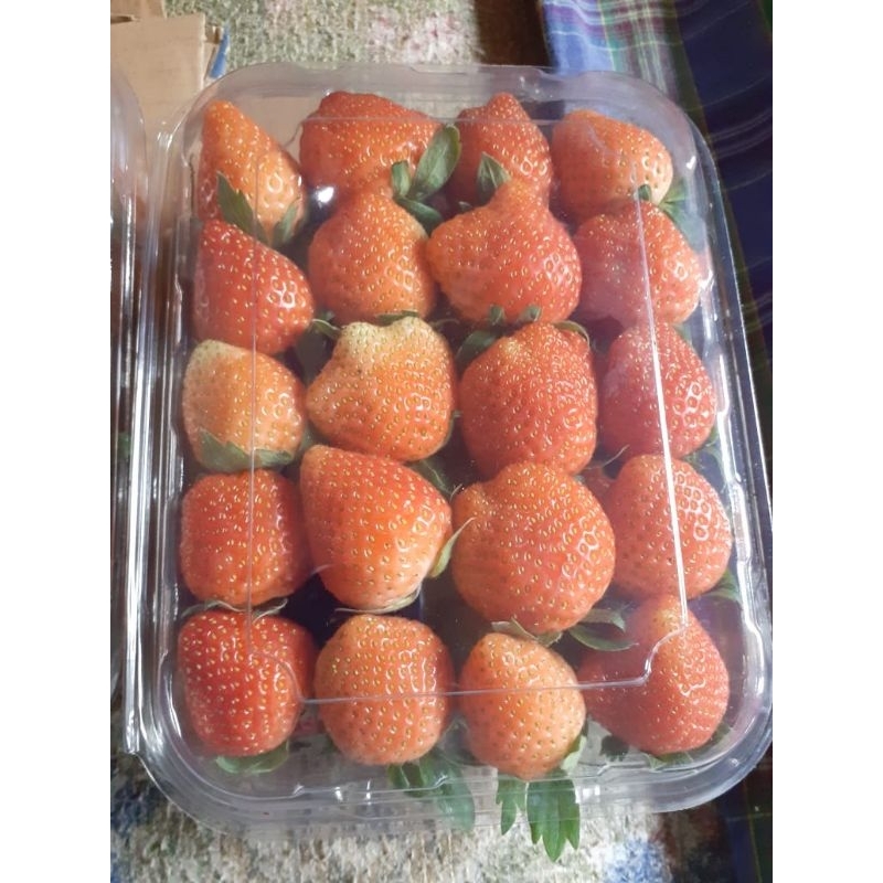 

strobery dan buah2an fress