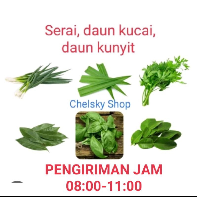 

Aneka Dedaunan Bumbu Masakan