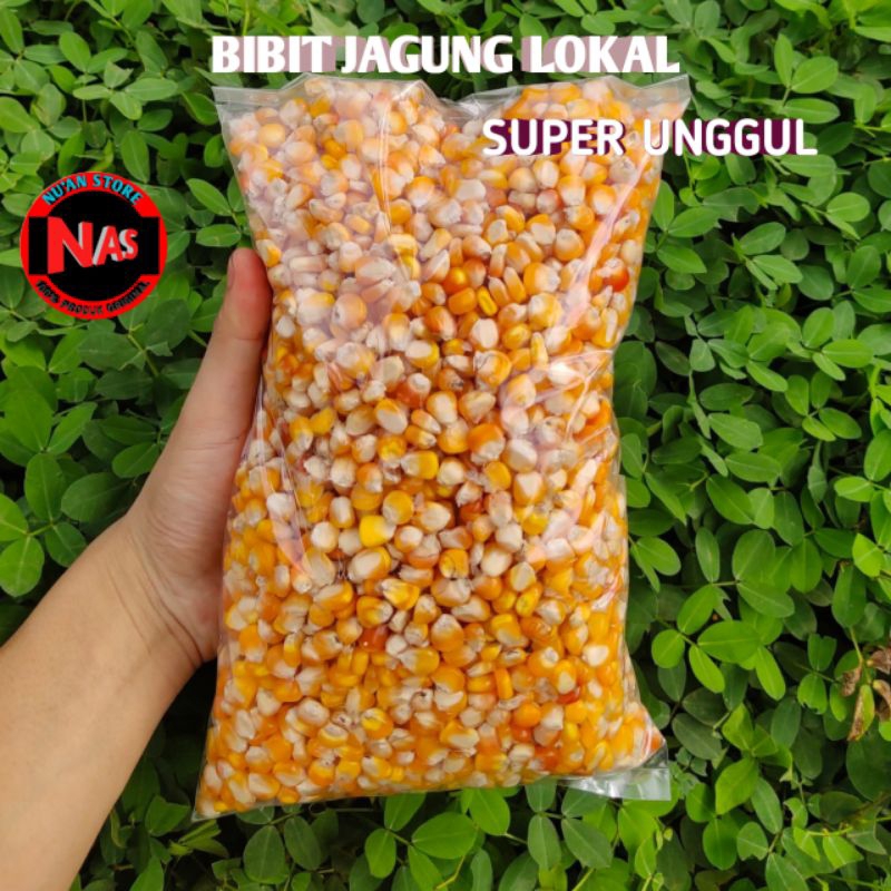 

BIBIT JAGUNG LOKAL SUPER UNGGUL KEMASAN 1KG