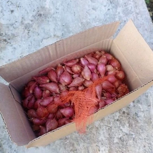 

Bawang Merah Ukuran Kecil 1kg