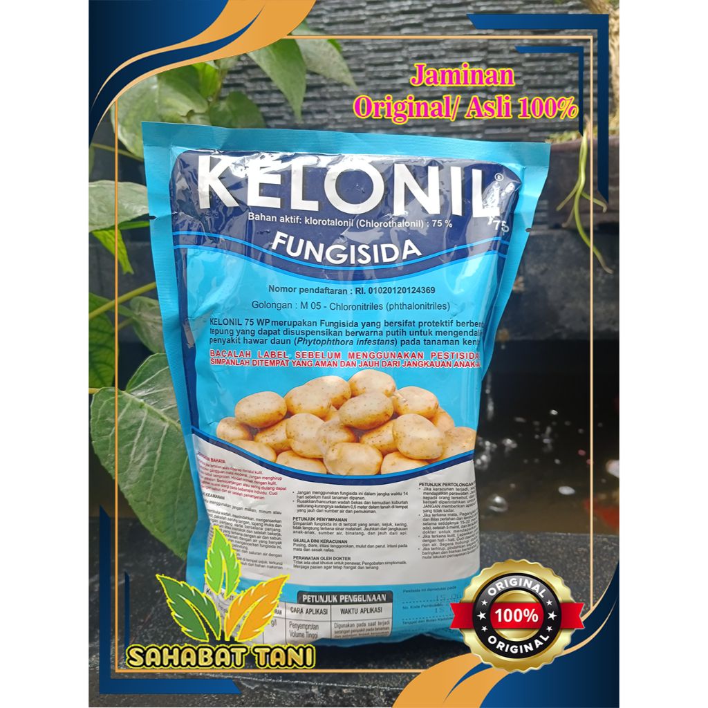 Fungisida KELONIL 75 WP - 500gr