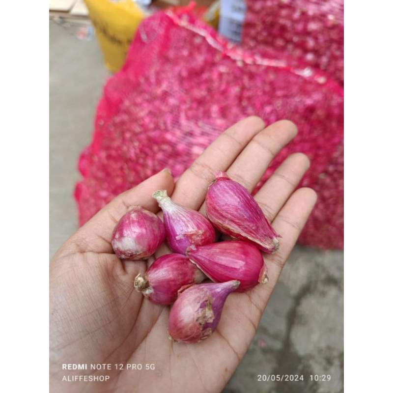 

1 kg bawang merah