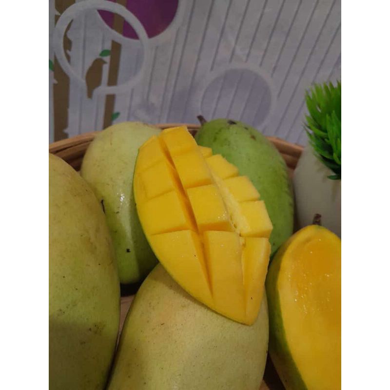 

Mangga lhokmai original via instan