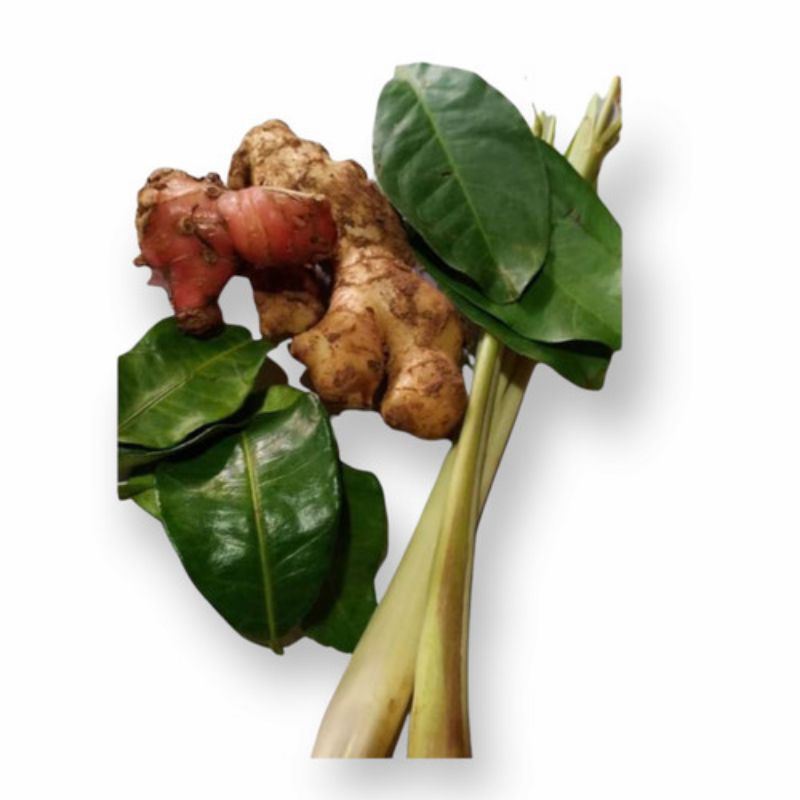 

Paket Bumbu Dapur Lengkap