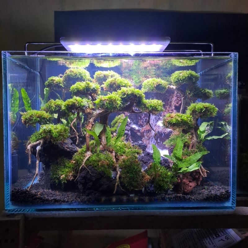 Aquascape Air Terjun Fullset Ukuran 30x20x20
