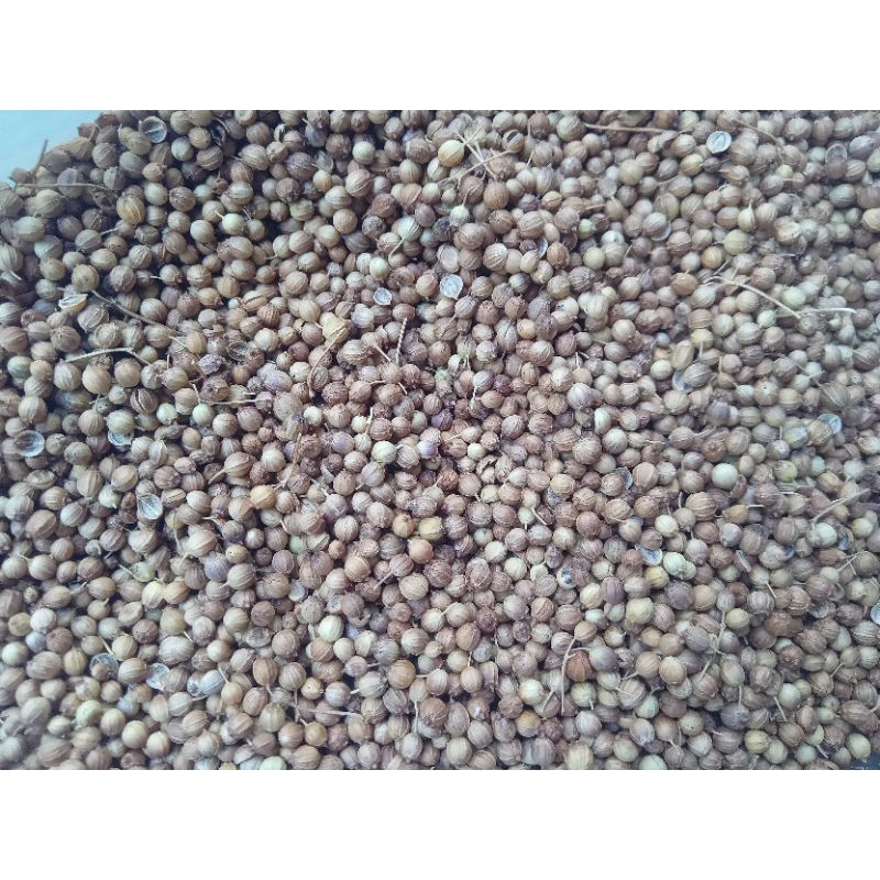

KETUMBAR 1Kg