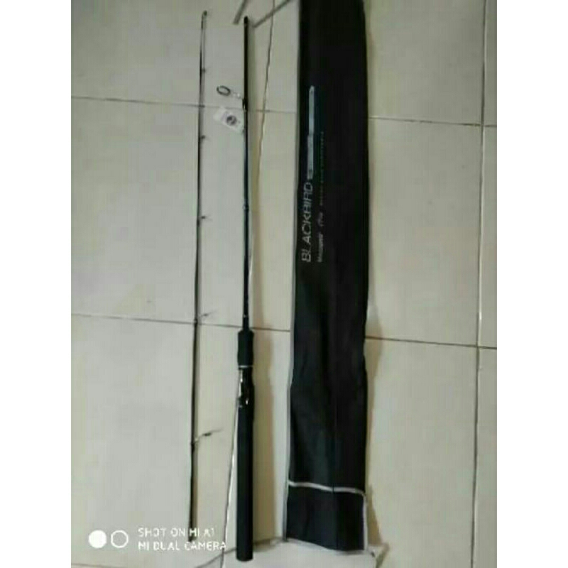 Joran Maguro Blackbird 180 cm