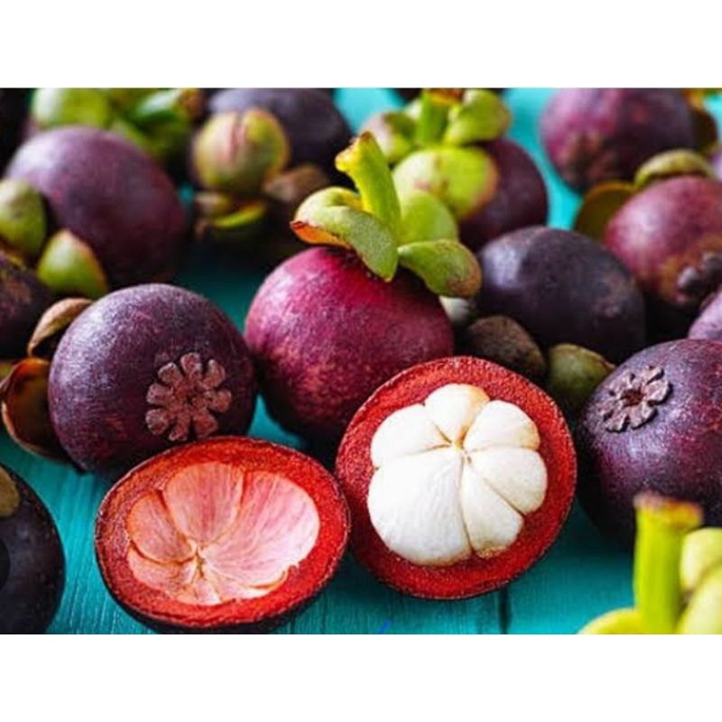 

buah manggis per 500gram / pampang online