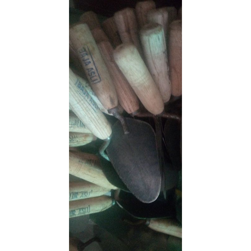 CETOK SEMEN / CUNGKIR GALUR BIASA