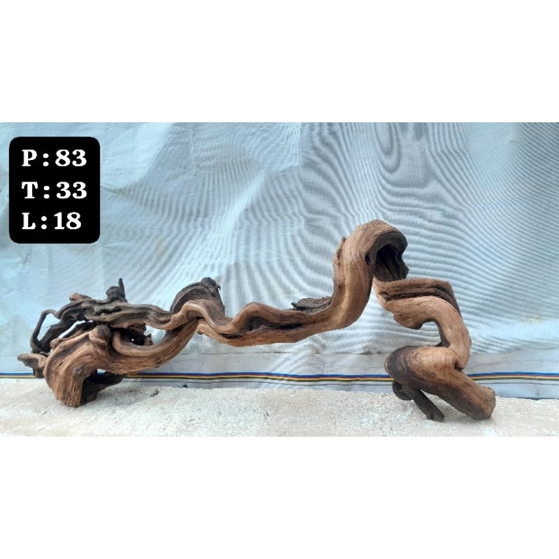 Kayu Aquascape - Kayu Santigi (Besar)