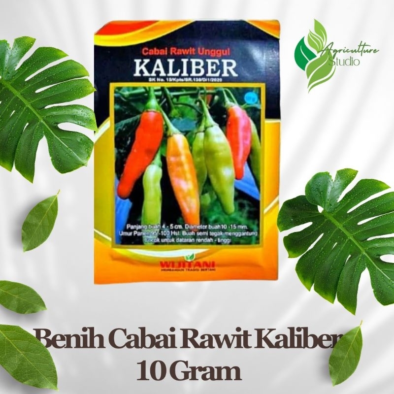 Benih Cabe Rawit Kaliber 10Gram Original Pabrik