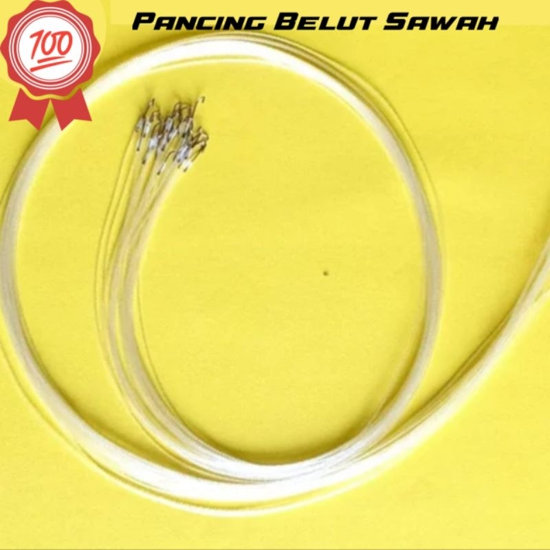 KAIL PANCING UREK BELUT / PANCINGAN BELUT ANTI MOCEL SIAP PAKAI