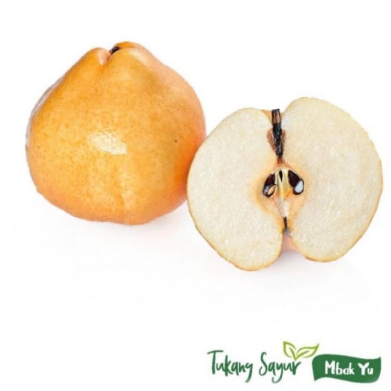 

Buah Pir korea per buah - pir singo per buah - pir jumbo