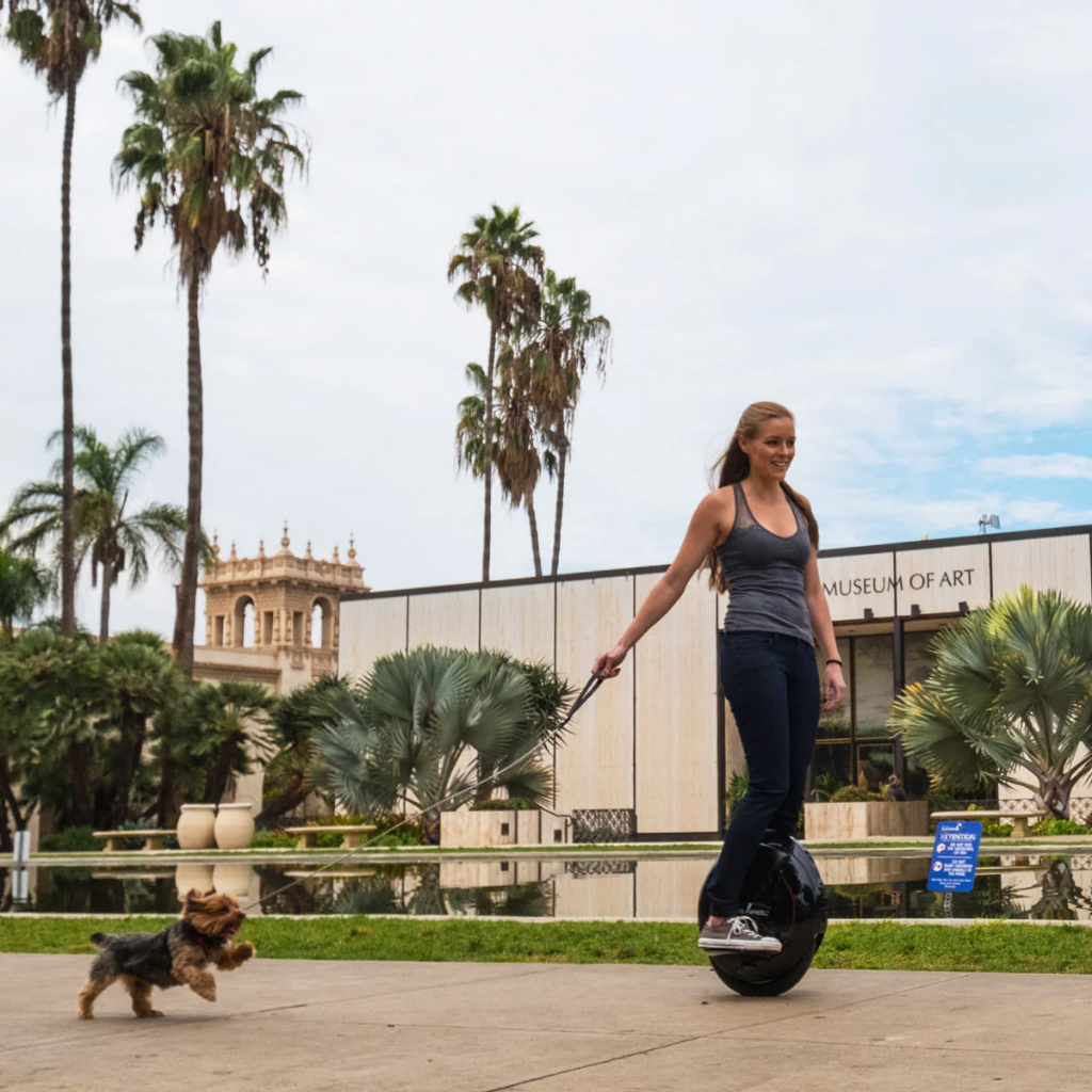 Inmotion V5F Black Single Wheel Electric Unicycle