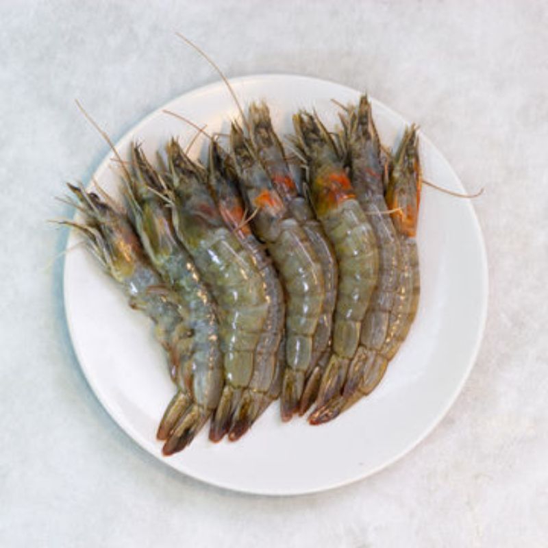 

udang vanami 1kg