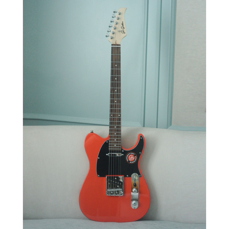 Electric Guitar, JS GUITARS JS TL-2 Munsell Series