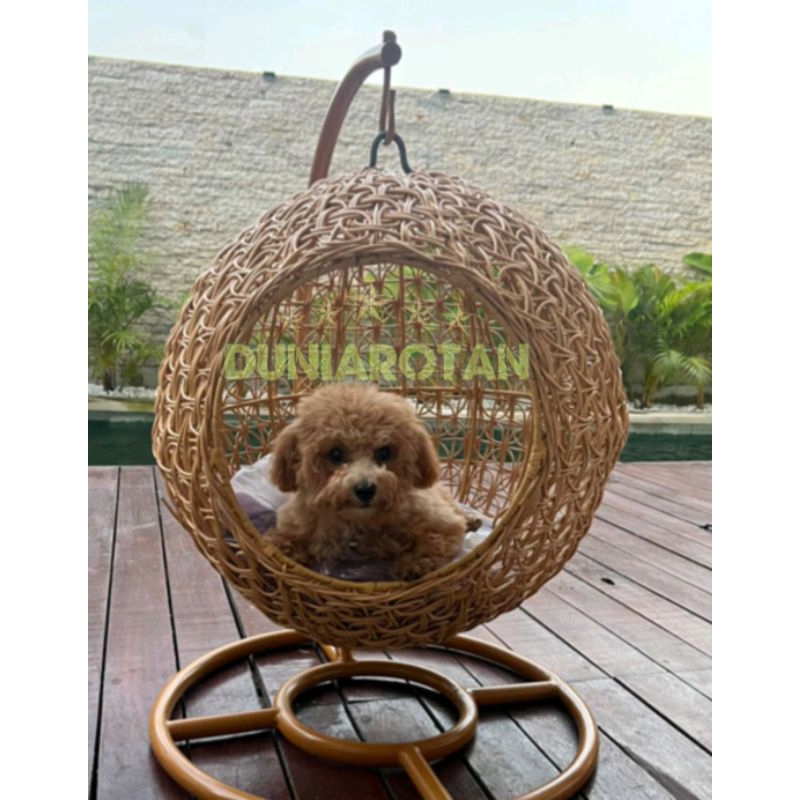 ayunan kucing rotan sintetis / kandang kucing / rumah kucing / kandang anjing