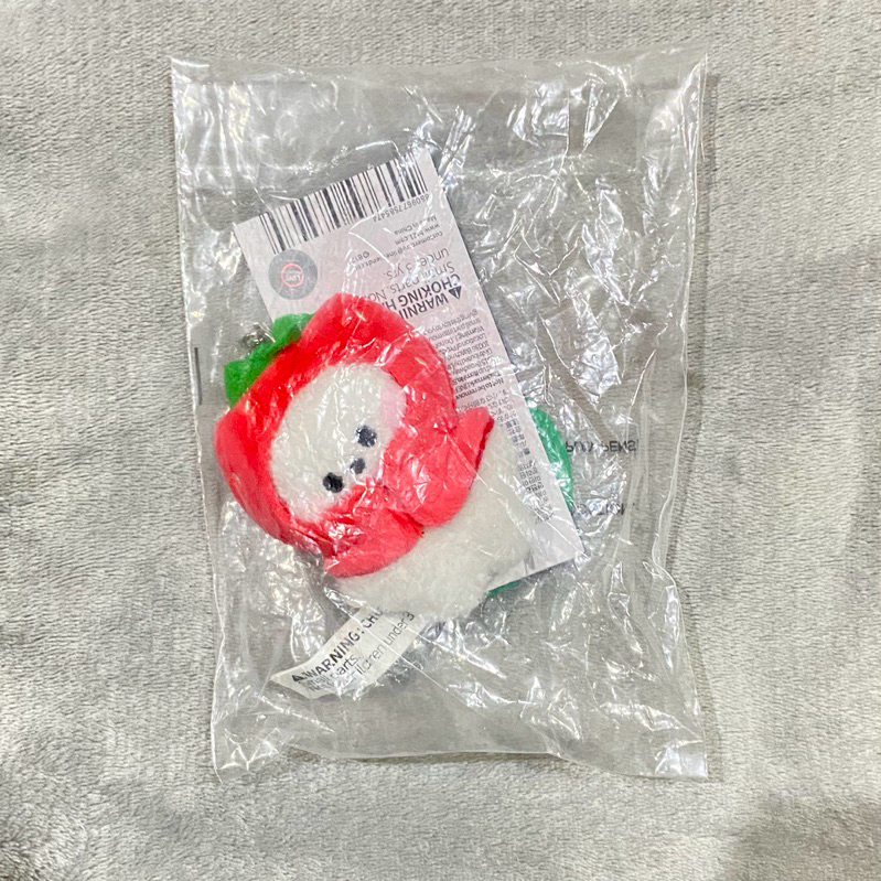 BT21 MININI FRUIT KEYCHAIN