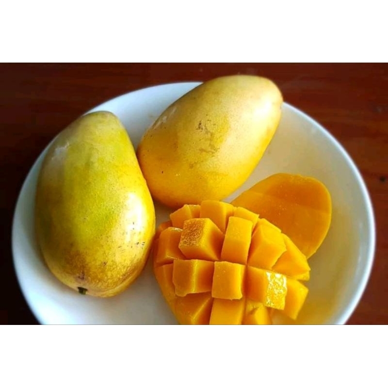 

mangga kuning