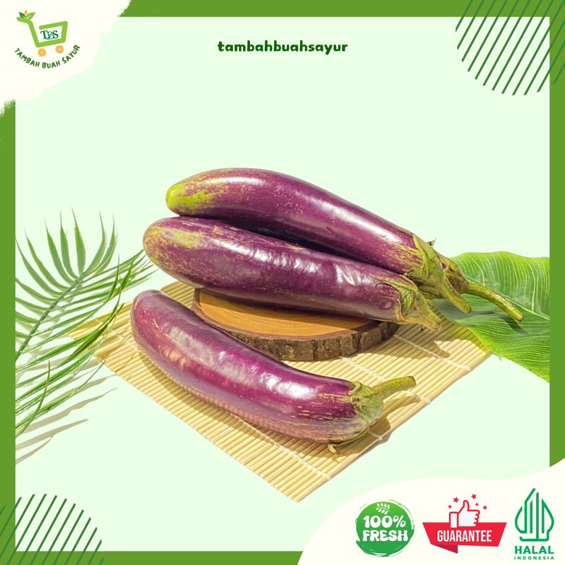 

TERONG UNGU BESAR KUALITAS PREMIUM 500 GR (KHUSUS SAMEDAY DAN INSTAN)