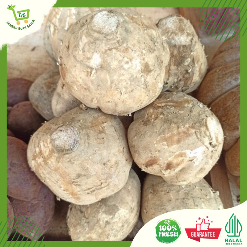 

RB BENGKOANG FRESH 1 KG