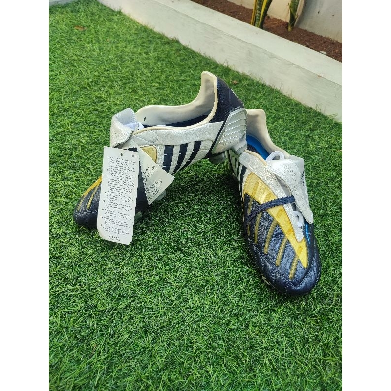 Adidas predator Powerswerve Fg