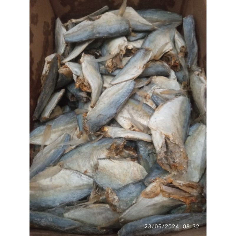 

peda buntung
