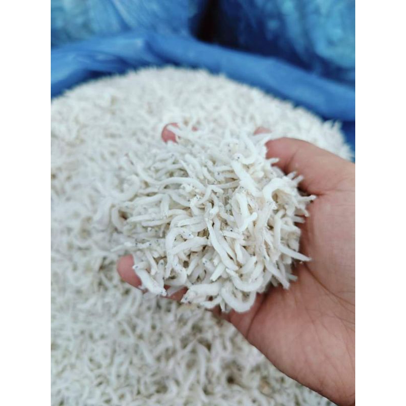 

ikan teri nasi super