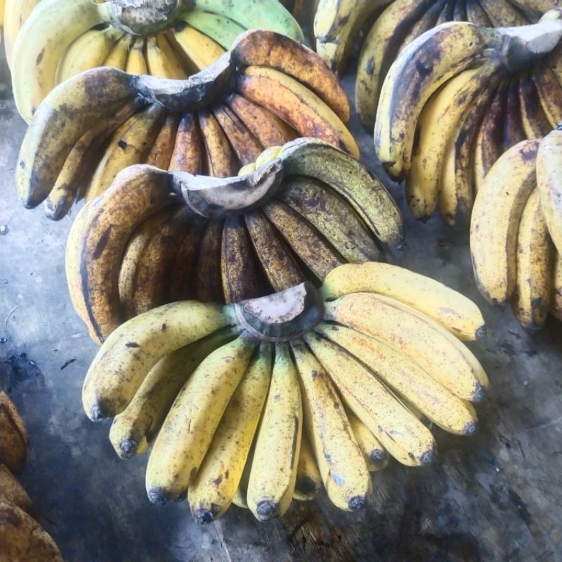 

PISANG BARANGAN ASLI MEDAN (1 SISIR)