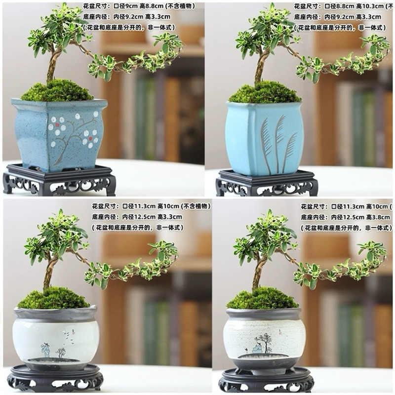 Pot Keramik Oriental ada tatakan