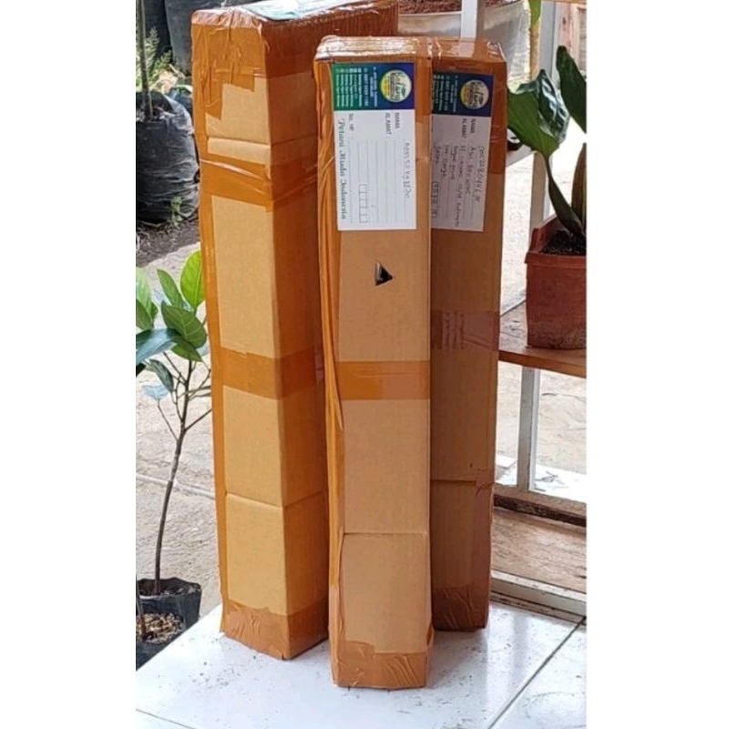 

kardus tambahan packing buat tanaman biar aman (cargo wajib beli)