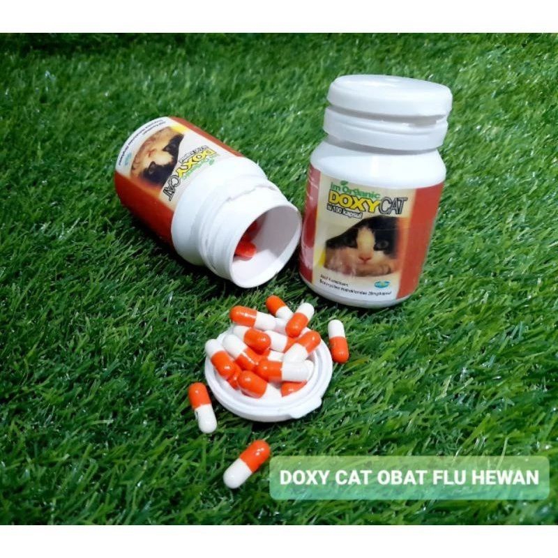 Obat Flu Kucing Doxy Cat Ecer 1capsul DoxyCatAntibiotik Doxi Cat