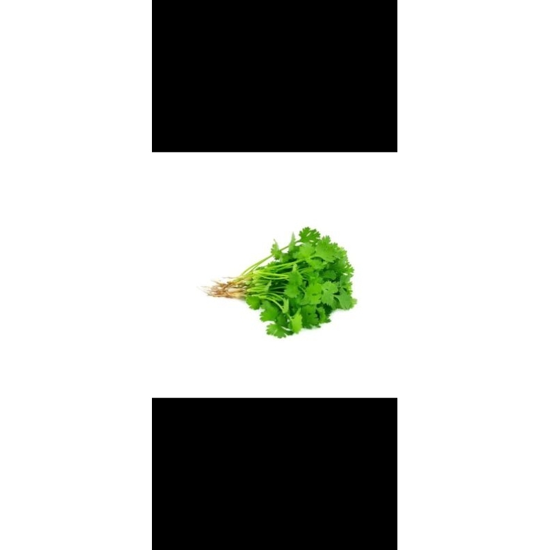 

Wansui/daun ketumbar 100-150gr