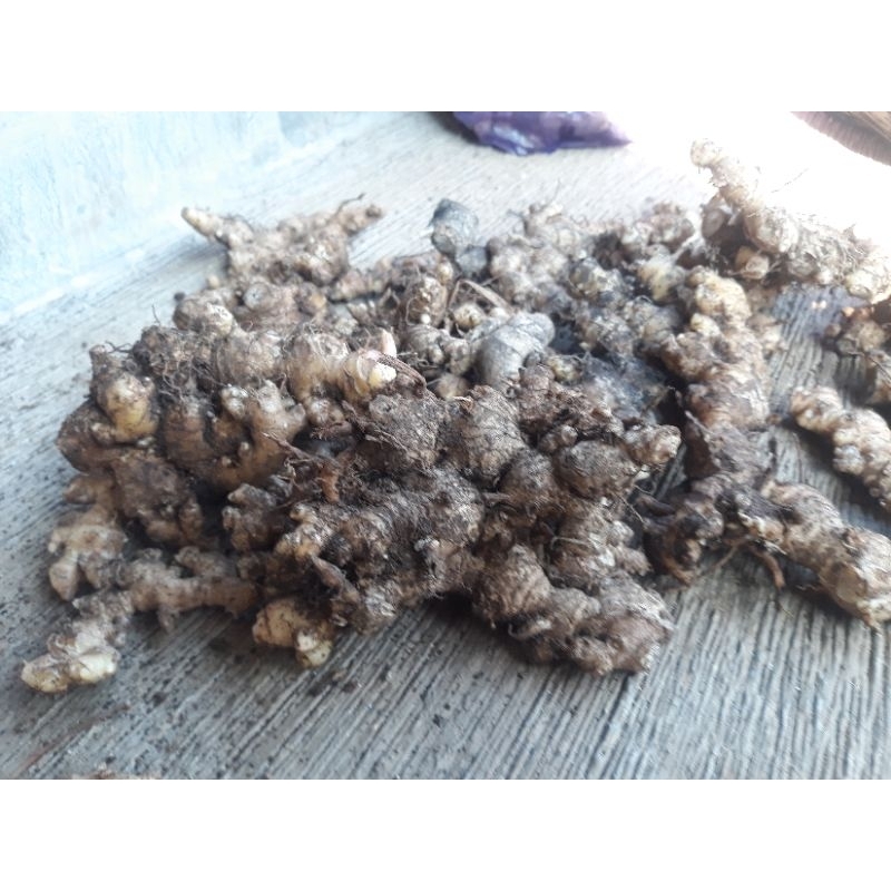 

Jahe Emprit Segar Lokal 1 kg