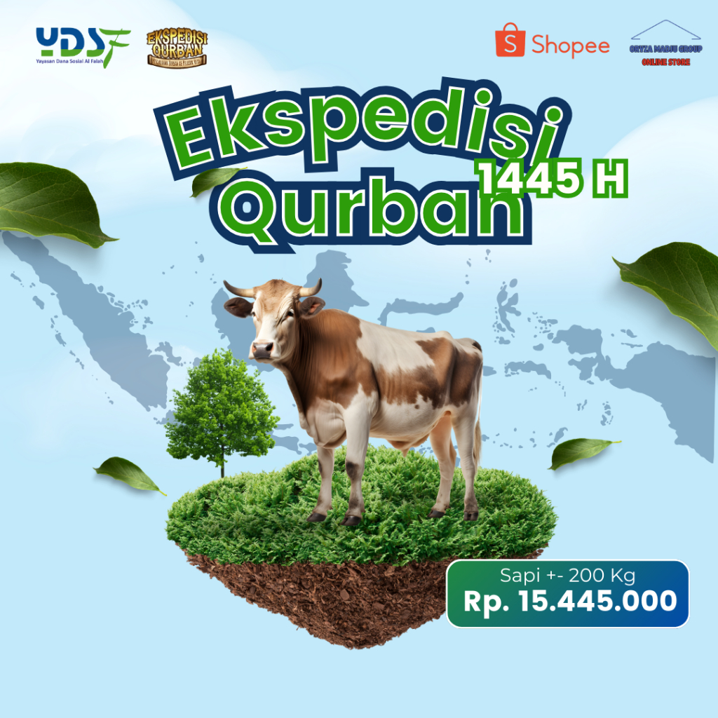 Qurban Sapi Reguler Bobot +- 200 Kg