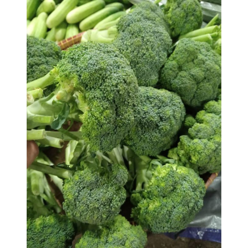 

Brokoli/ sayur brokoli 1000gram